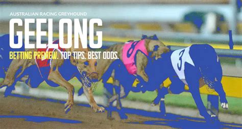 greyhound odds checker|Geelong Friday Betting Odds .
